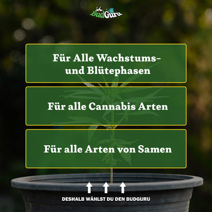 All in One Cannabis Dünger