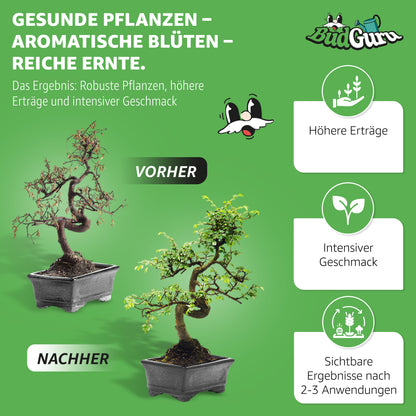 All in One Cannabis Dünger