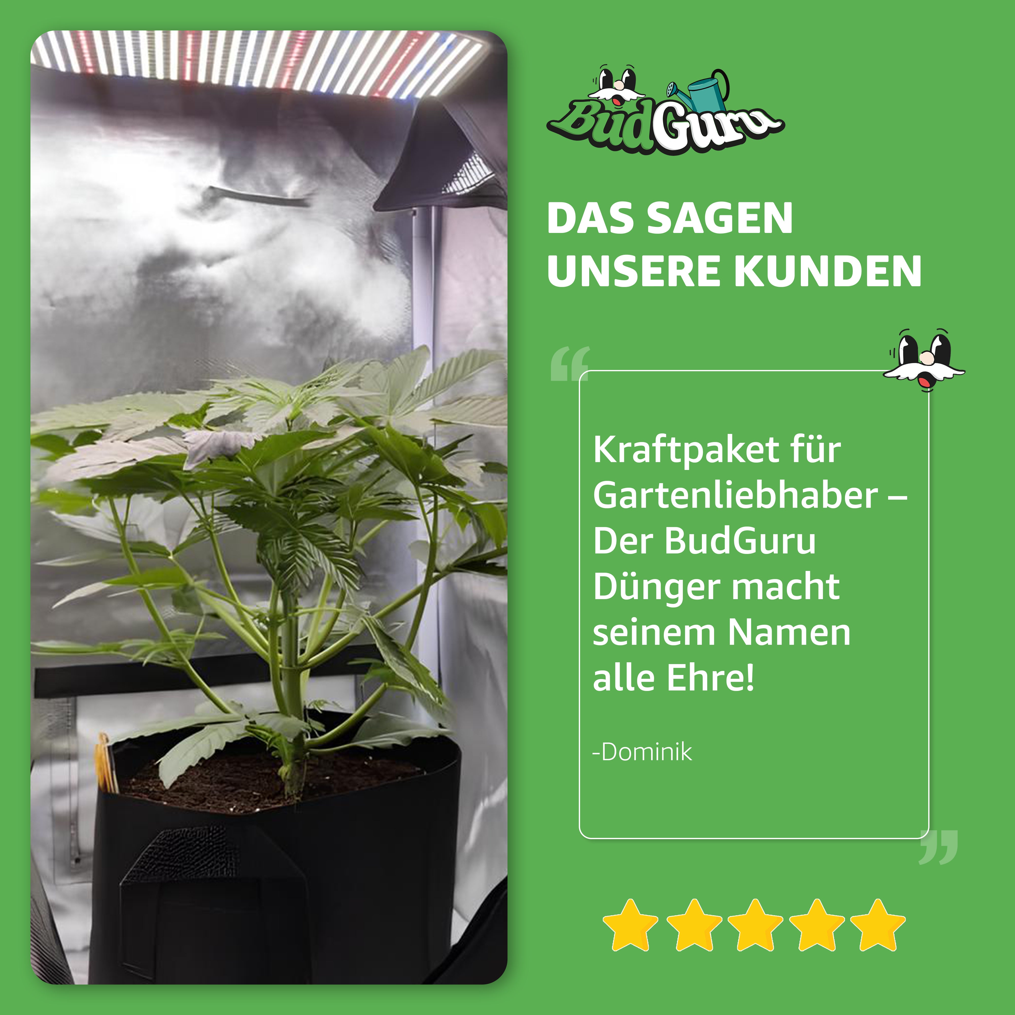 All in One Cannabis Dünger