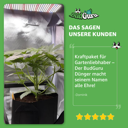 All in One Cannabis Dünger